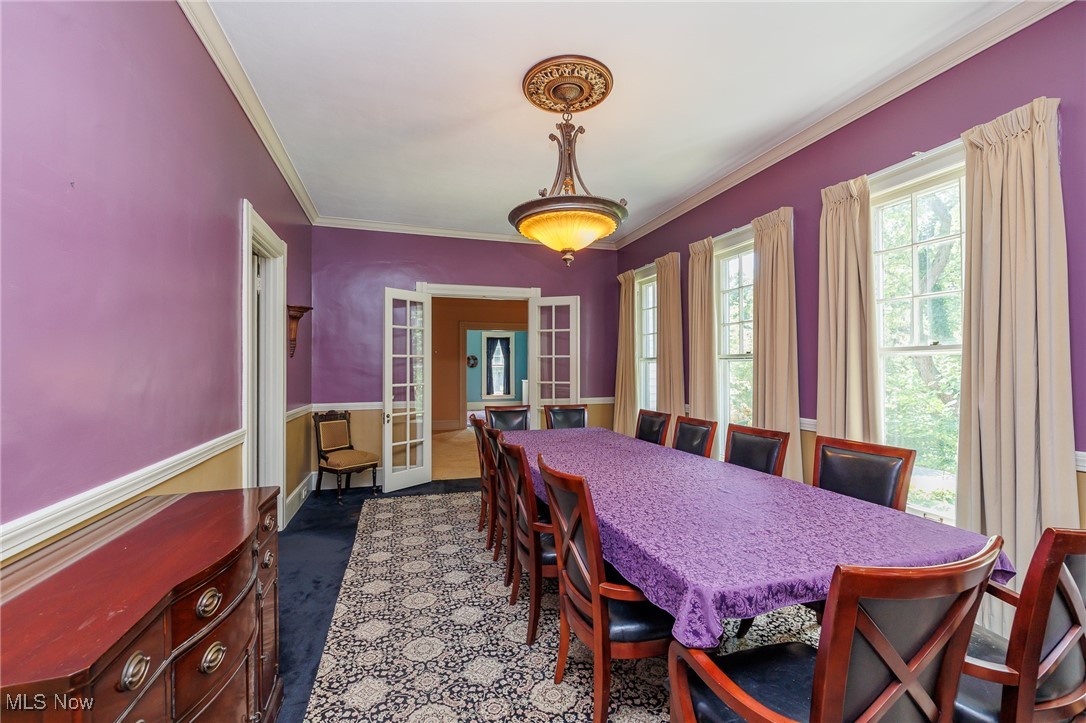 144 Forest Street Property Photo 15