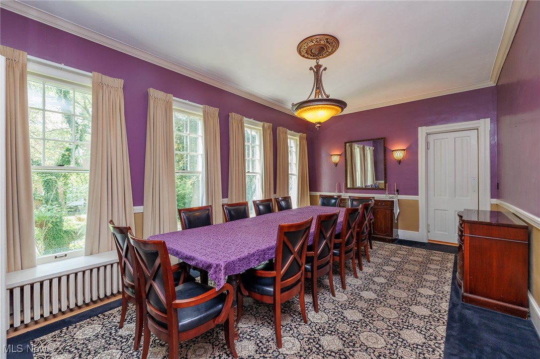 144 Forest Street Property Photo 16