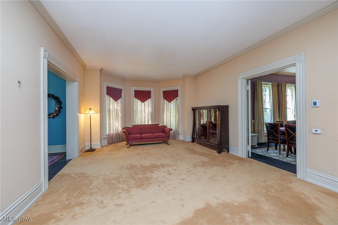 144 Forest Street Property Photo 17