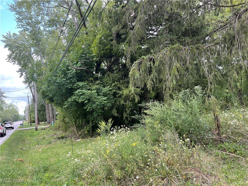 Bronson Road Property Photo 10