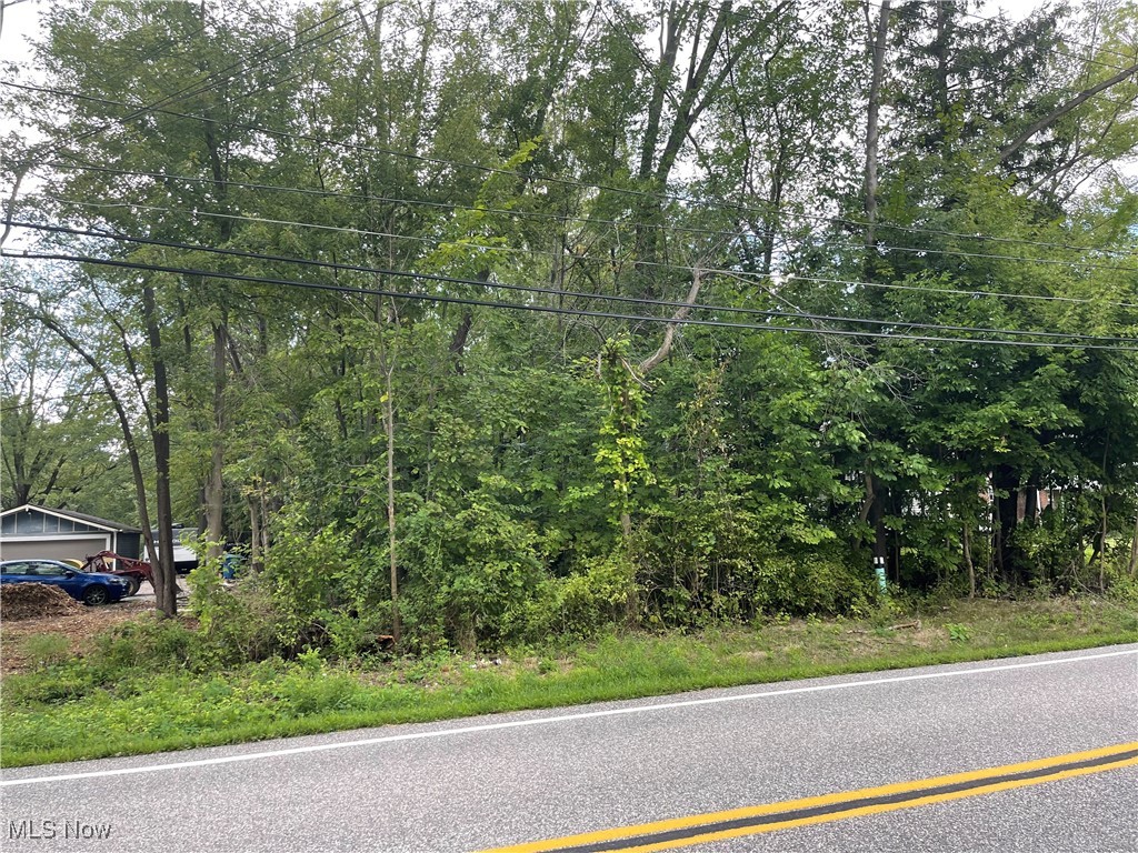 Bronson Road Property Photo 12