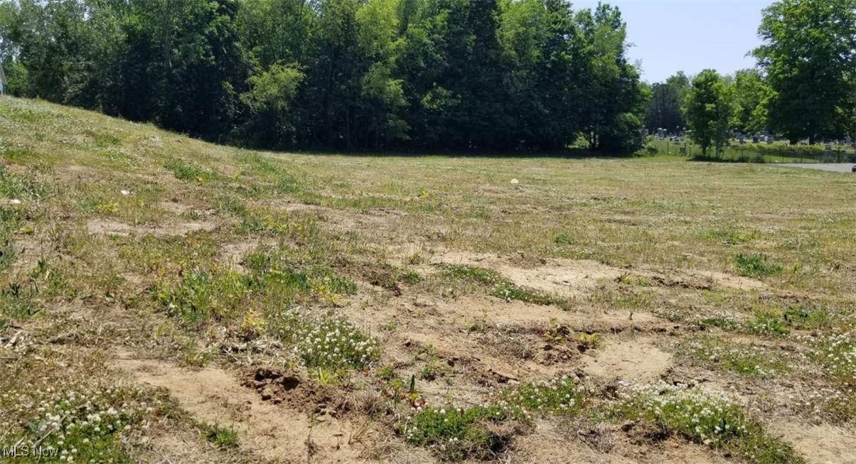 808 E Turkeyfoot Lake Road Property Photo 8