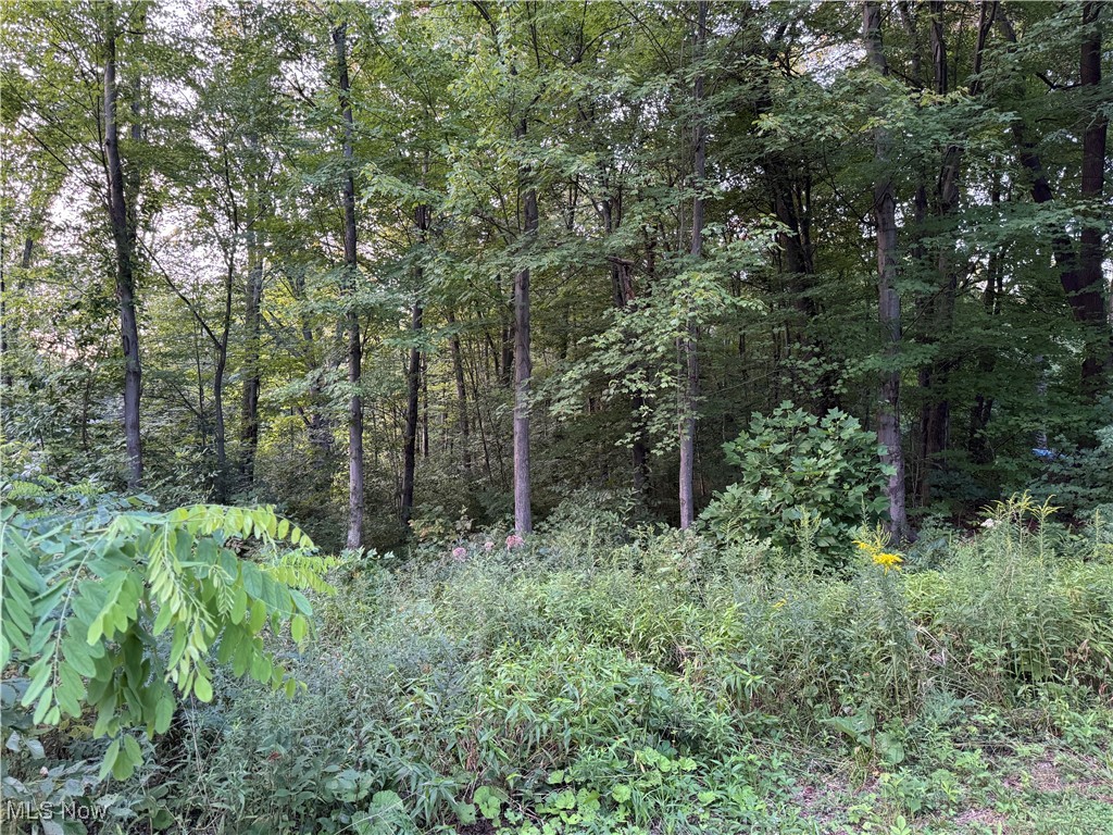 Booth Road Property Photo 1