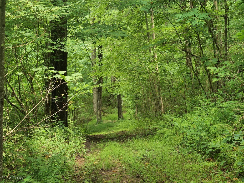 1091 River Road Property Photo 15