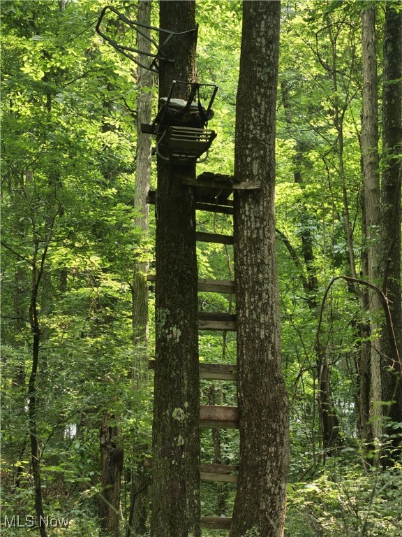 1091 River Road Property Photo 16