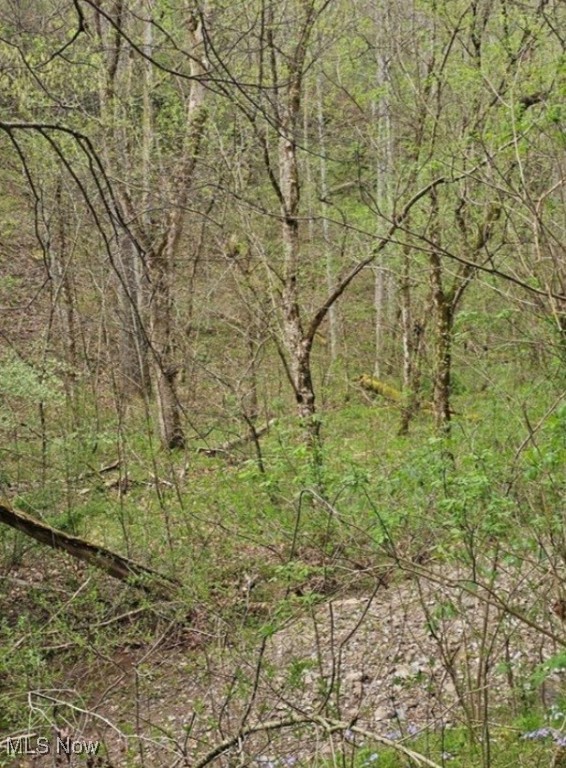 1247 Rocky Br Property Photo 2