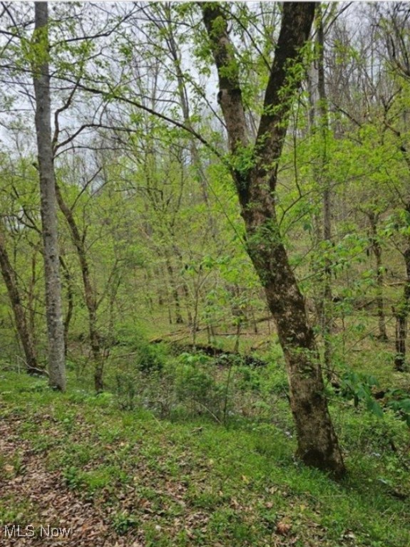 1247 Rocky Br Property Photo 5