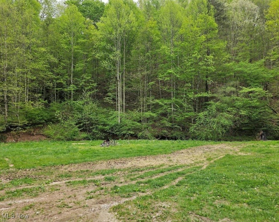 6605 Clay Rd Trlr Property Photo 3