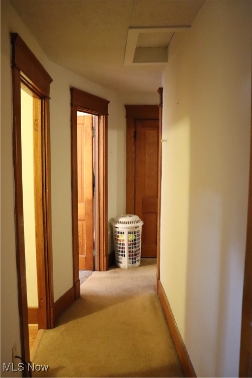 903 Warren Street Property Photo 15