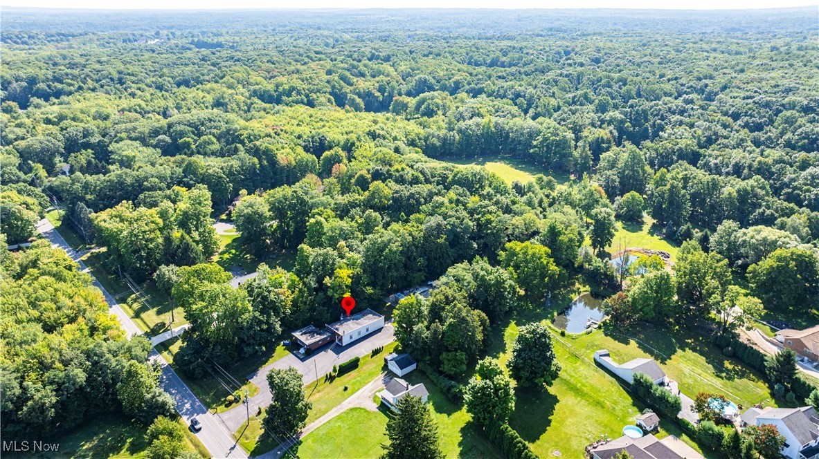 11764 Girdled Road Property Photo 25