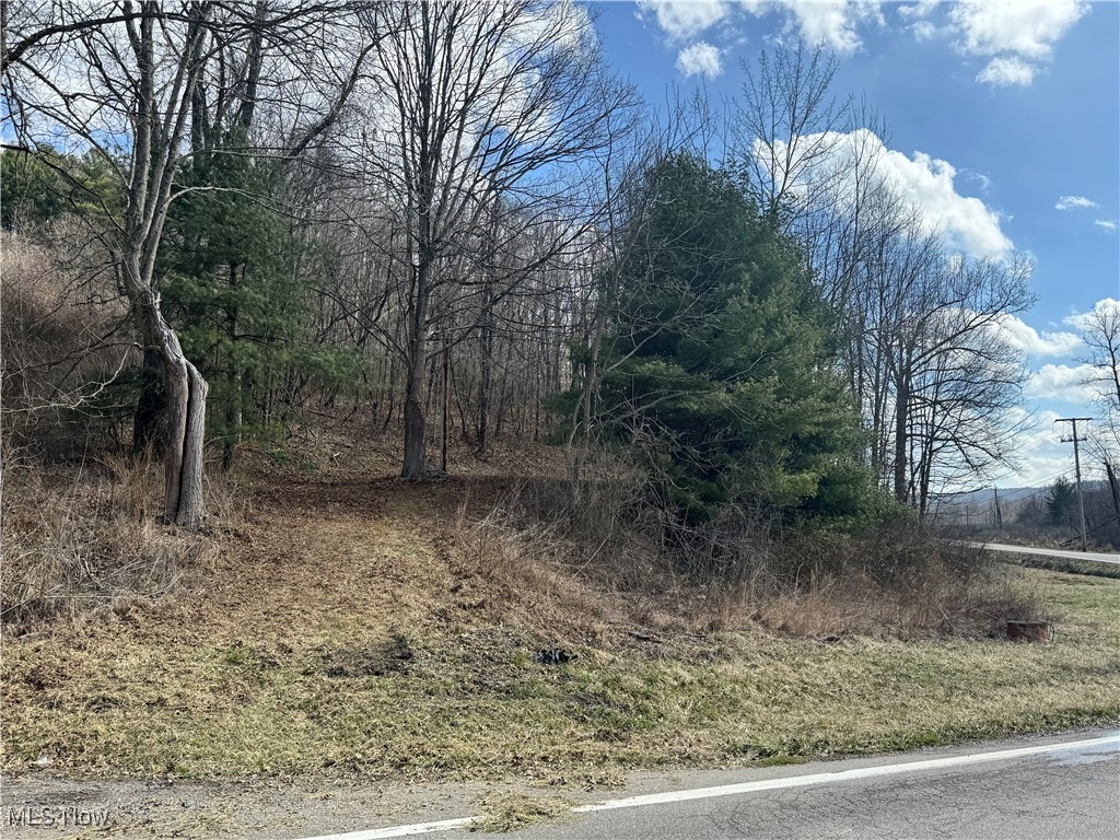 Holloway Rd/state Rt 331 Property Photo 1