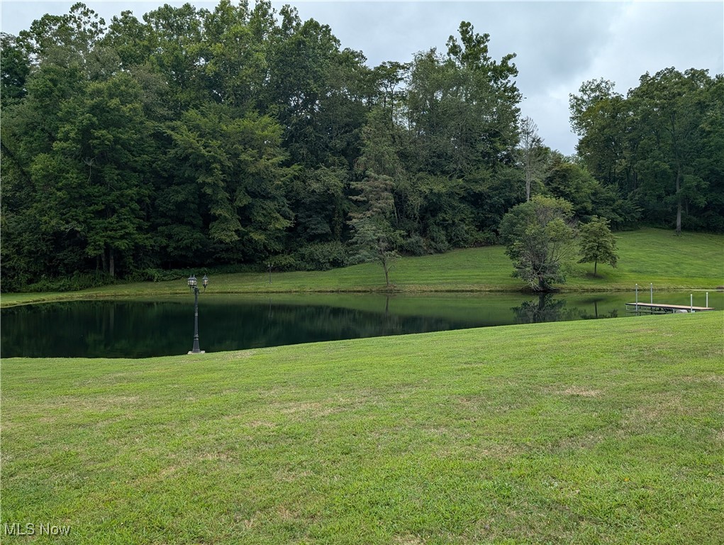 46136 Carlisle Road Property Photo 7