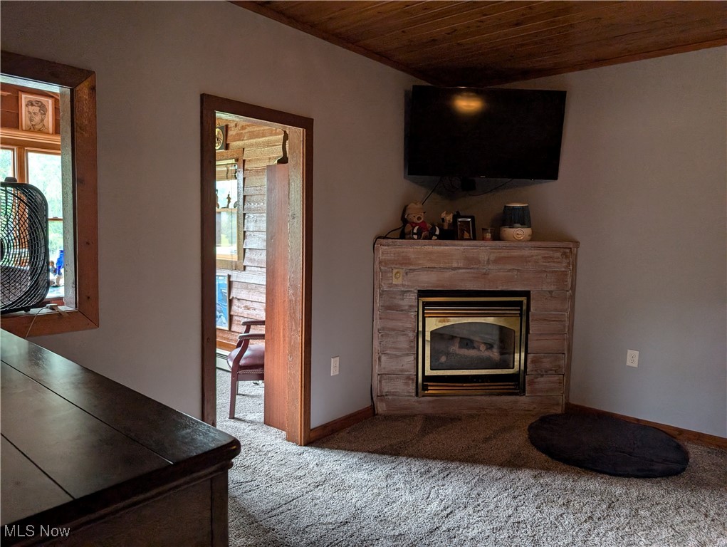 46136 Carlisle Road Property Photo 41