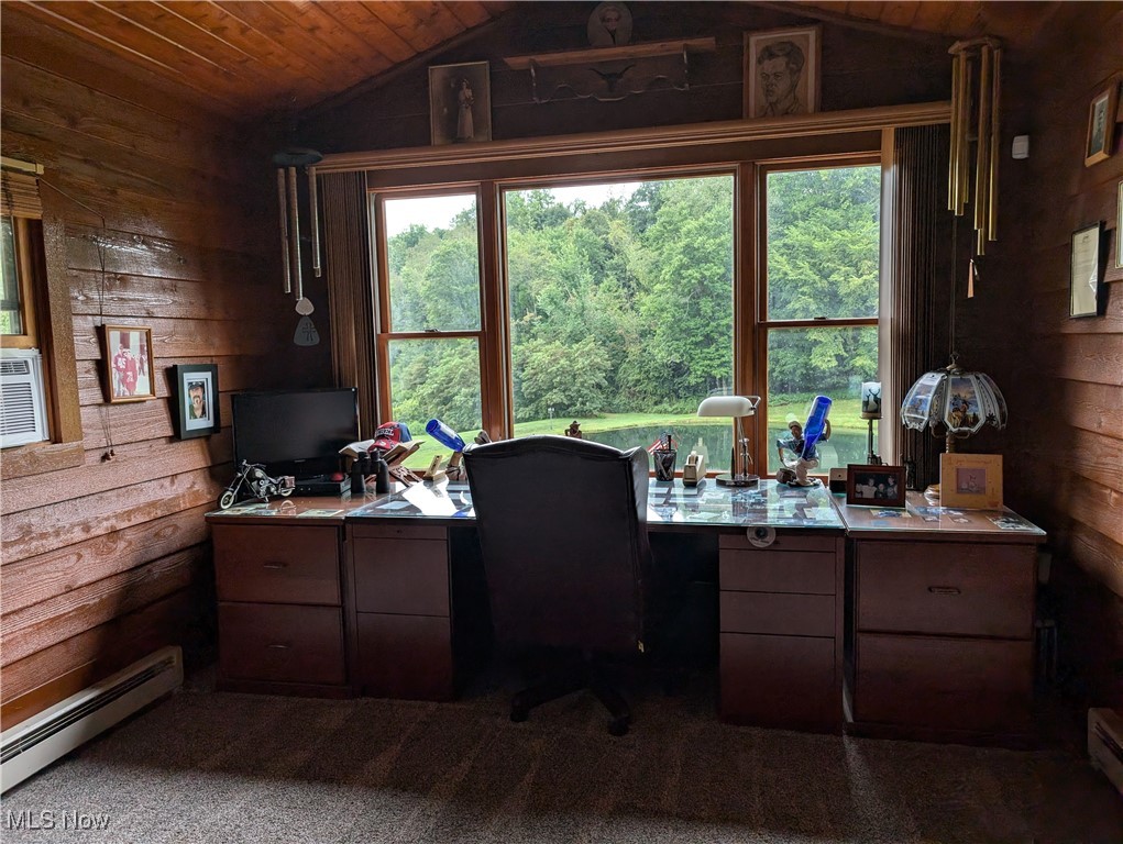 46136 Carlisle Road Property Photo 42