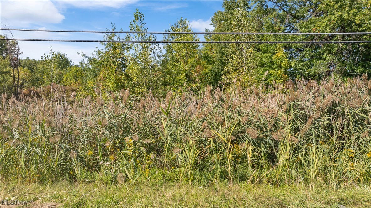 Bagley Road Property Photo 1