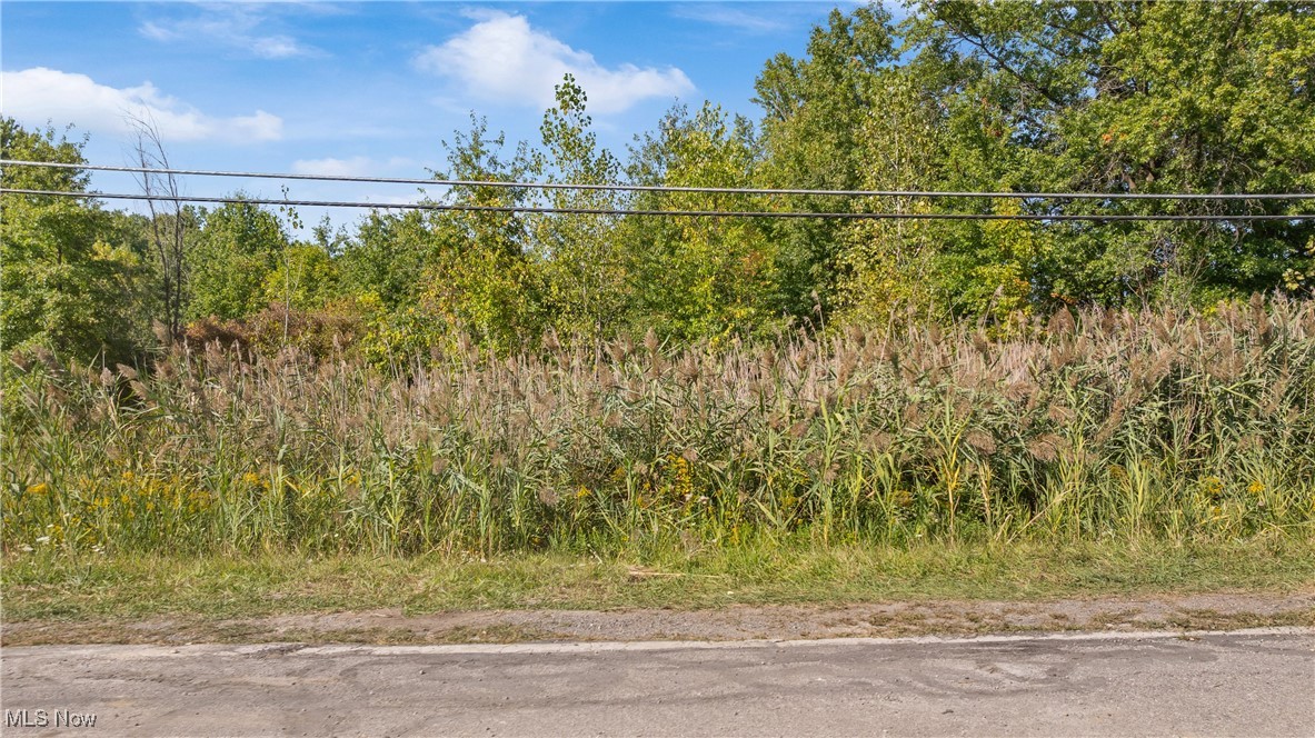 Bagley Road Property Photo 4