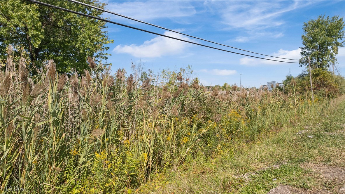 Bagley Road Property Photo 6