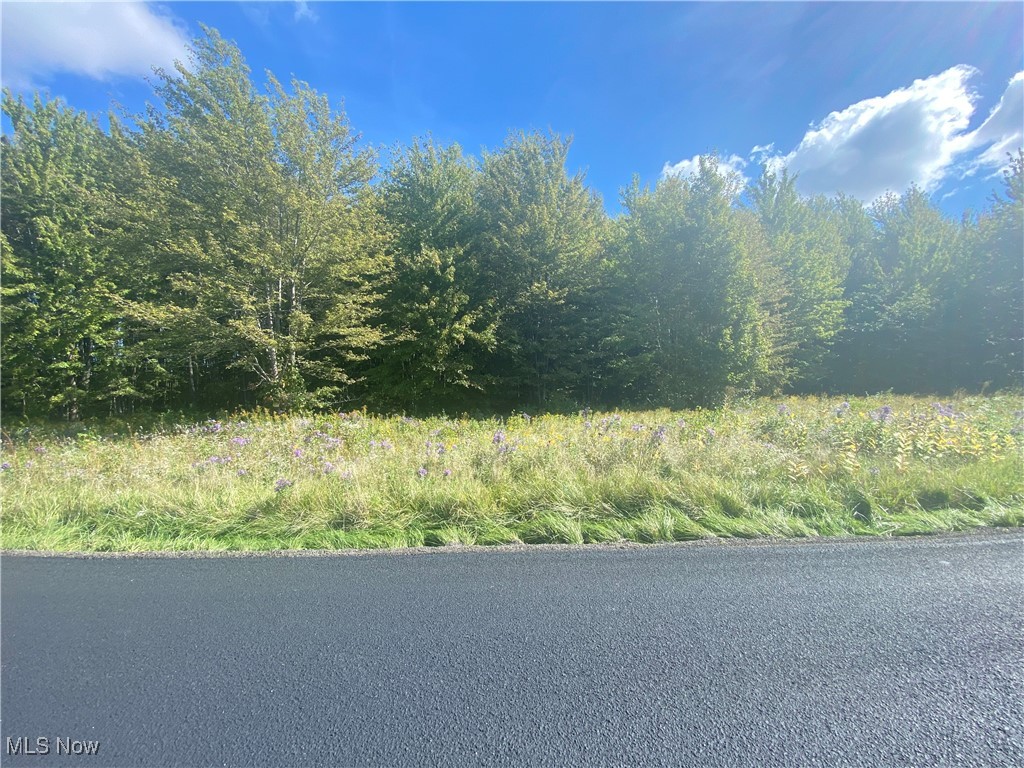 Bates Road Property Photo 12