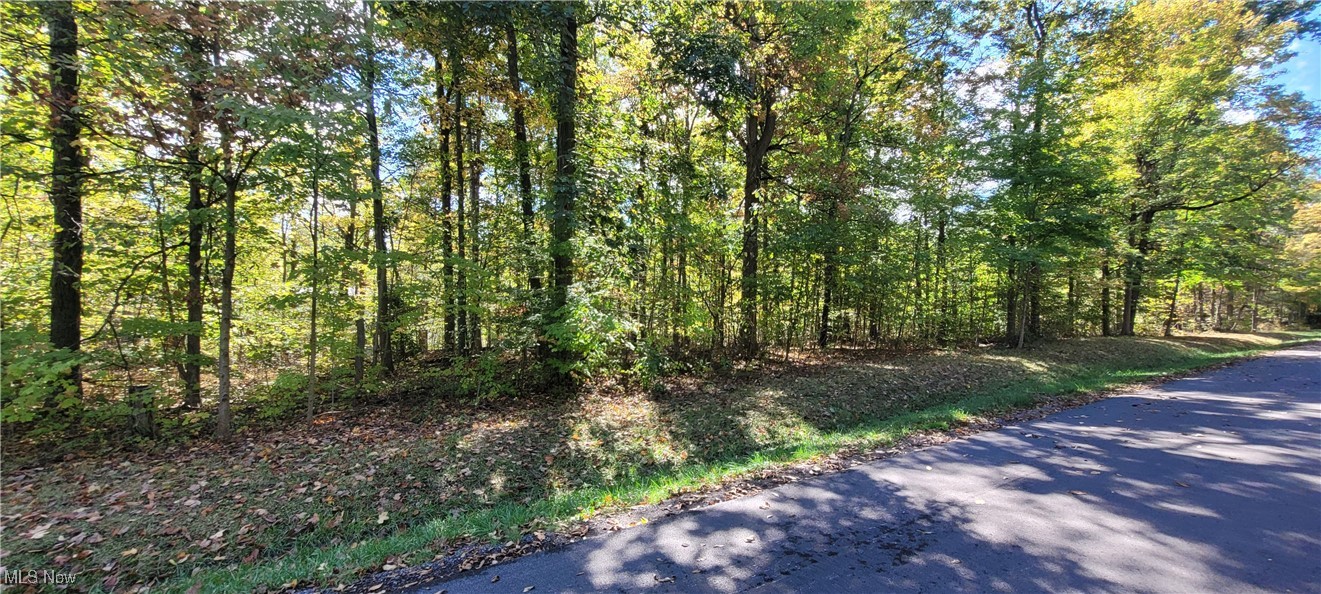 1290-1291 Laurel Drive Property Photo 2