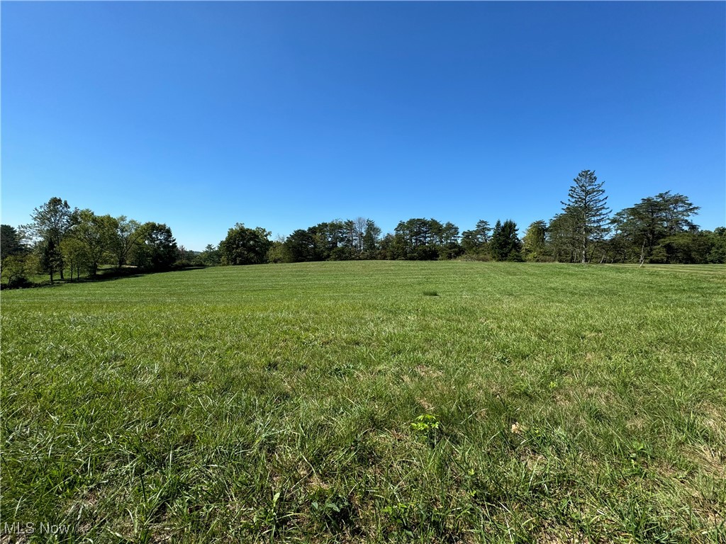 Brackenridge Road Property Photo 2