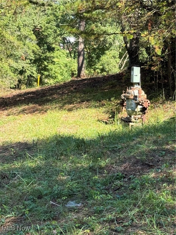 Brackenridge Road Property Photo 12