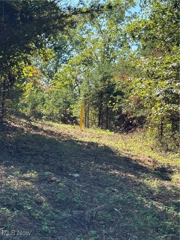 Brackenridge Road Property Photo 13