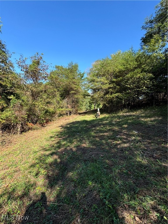 Brackenridge Road Property Photo 14