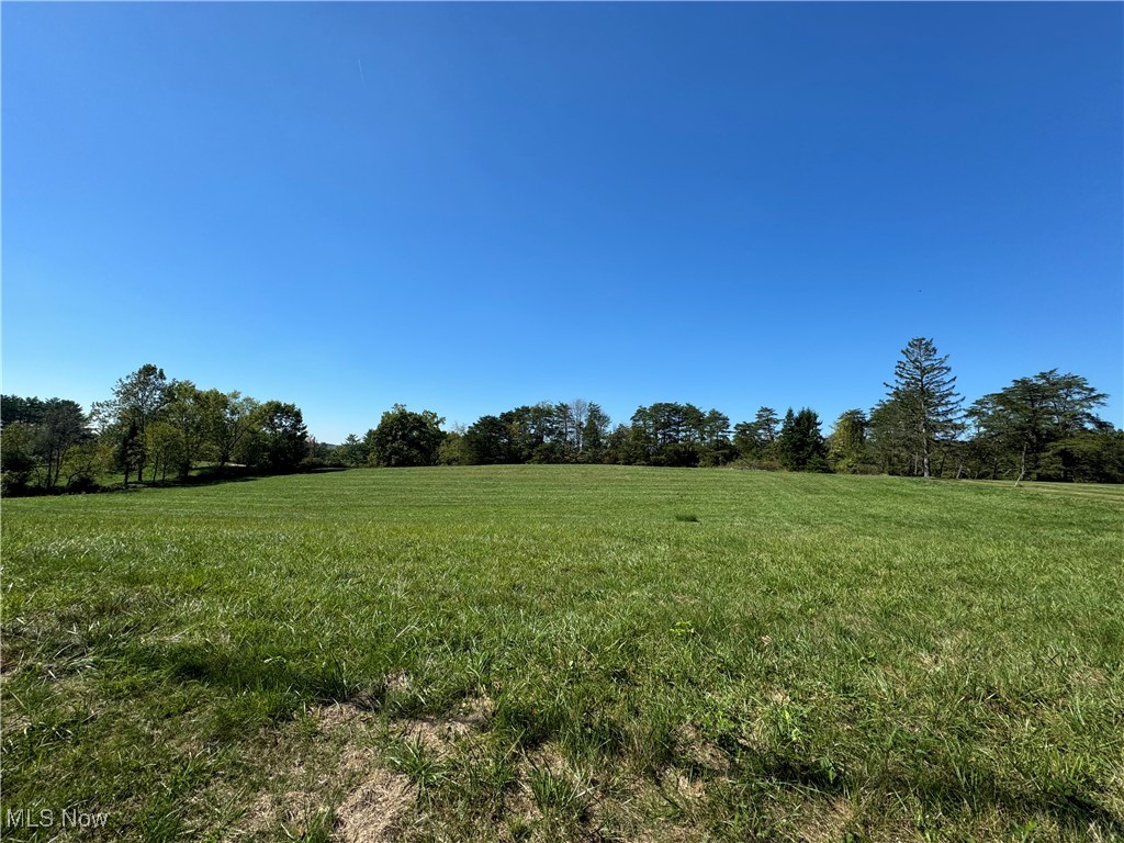 Brackenridge Road Property Photo 16