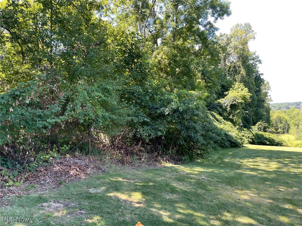 Brownstone Avenue Property Photo 4