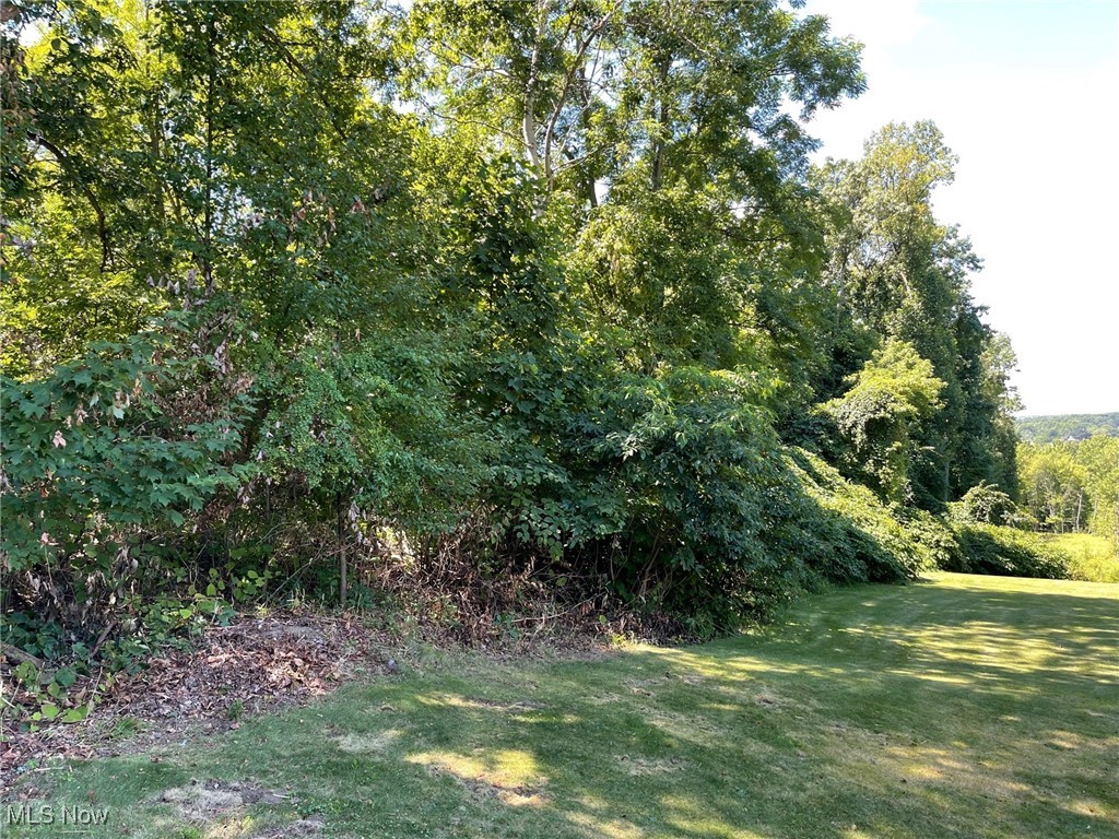 Brownstone Avenue Property Photo 5