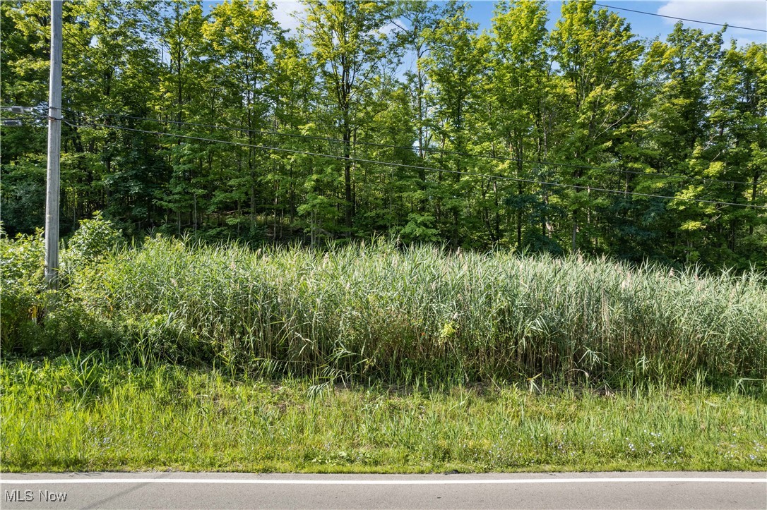 Sleepy Hollow Road Property Photo 1