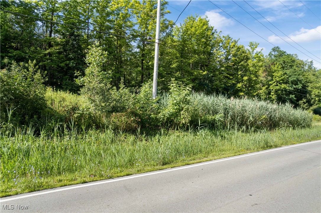 Sleepy Hollow Road Property Photo 7