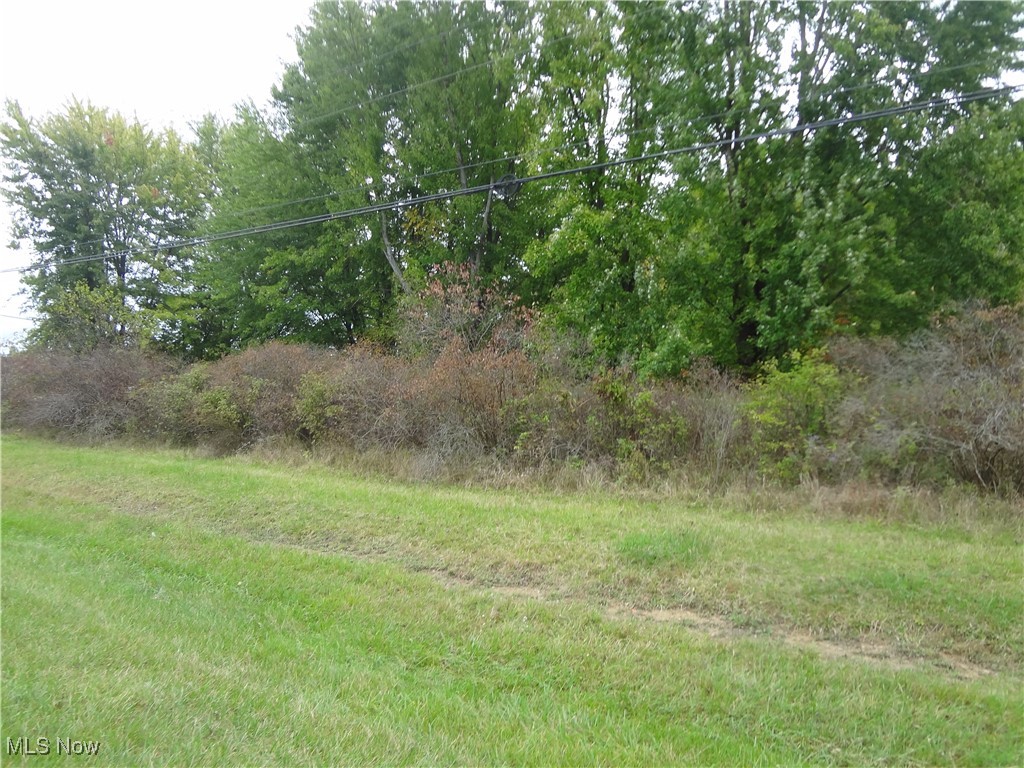 Ellsworth Bailey Road Property Photo 4