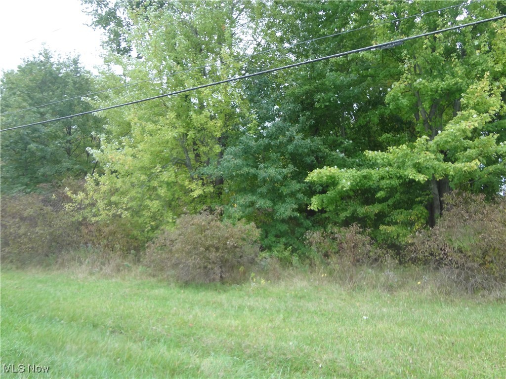 Ellsworth Bailey Road Property Photo 5