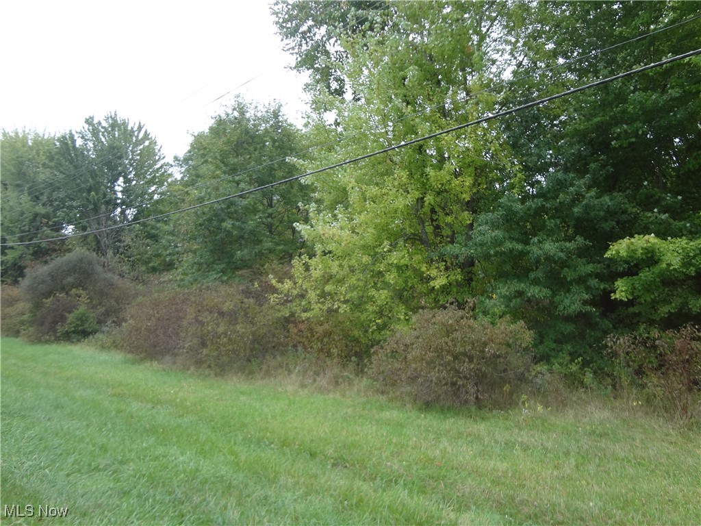 Ellsworth Bailey Road Property Photo 6