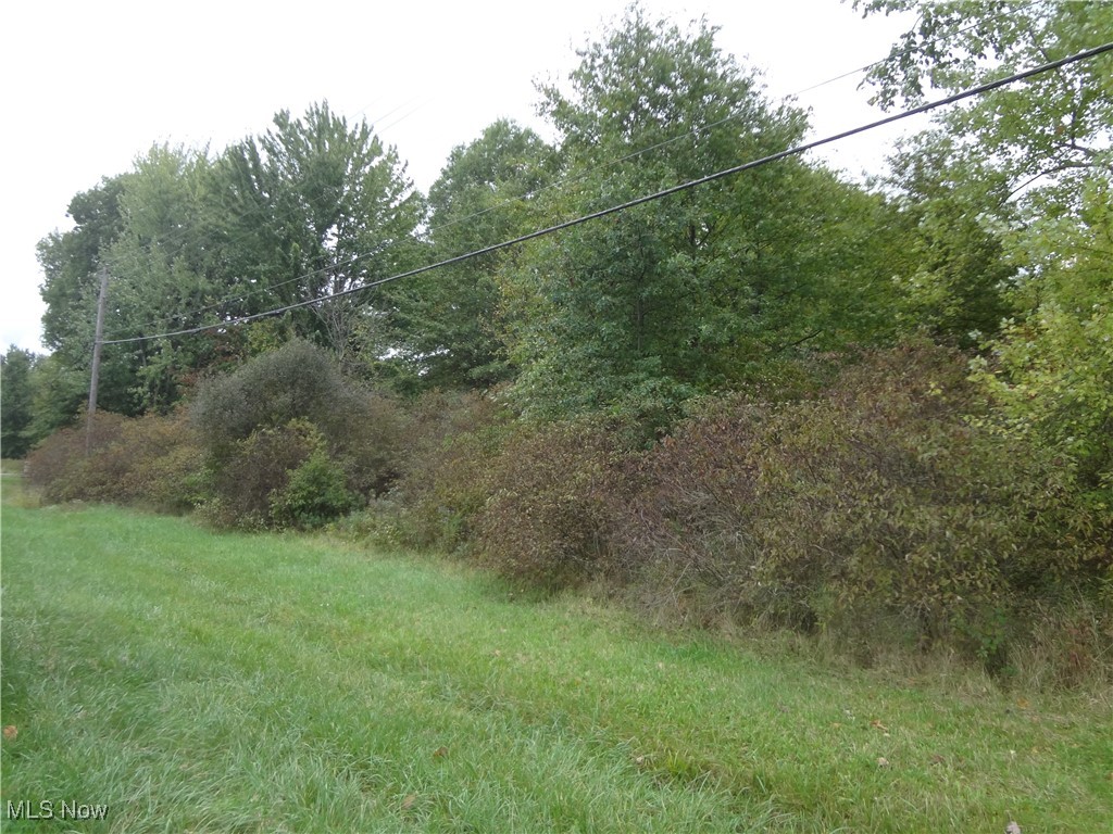 Ellsworth Bailey Road Property Photo 7