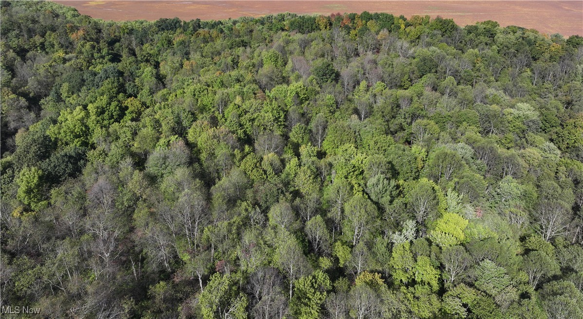 27649 State Route 60 Property Photo 6