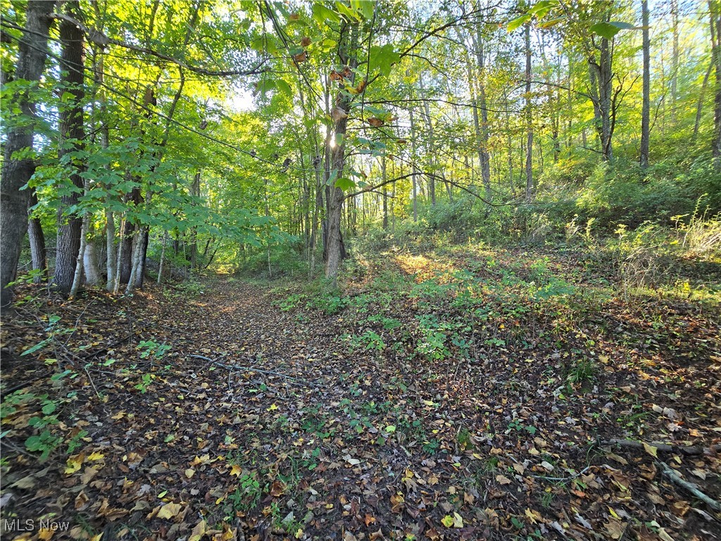 27649 State Route 60 Property Photo 10