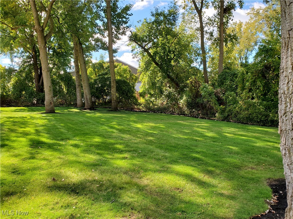 Snowflower Drive Property Photo 6