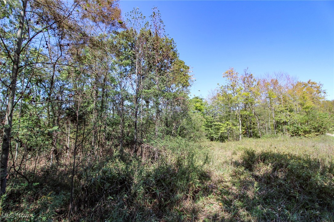 Lot 4 Moss Run Road Property Photo 2