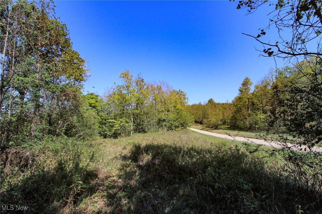 Lot 4 Moss Run Road Property Photo 3