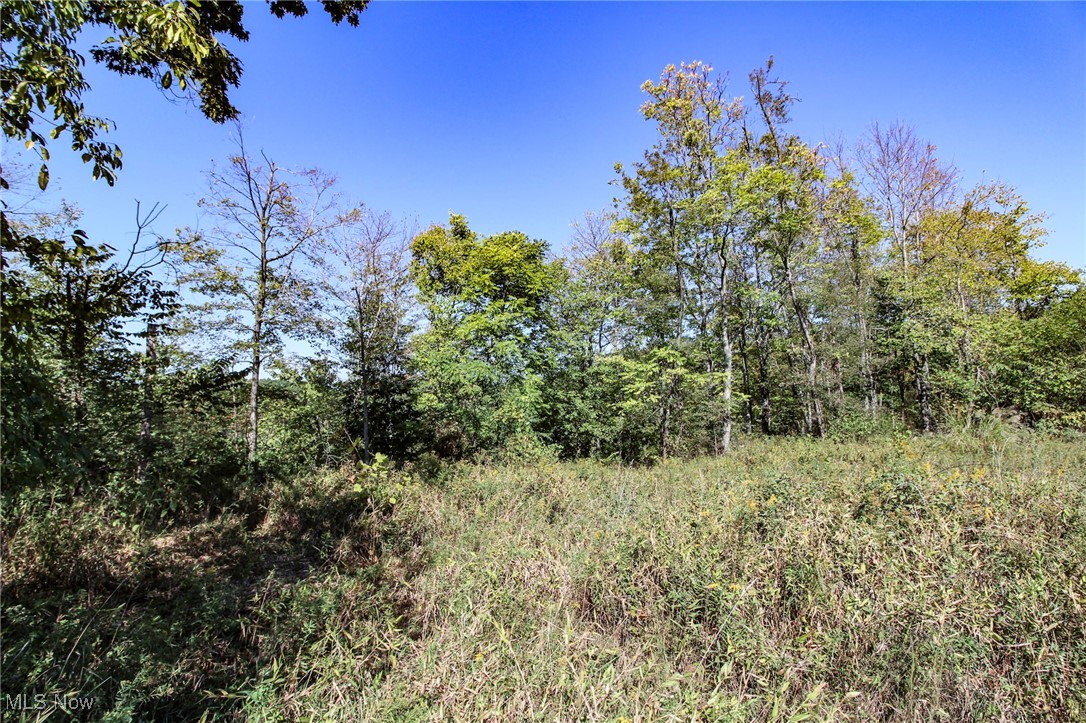 Lot 4 Moss Run Road Property Photo 4