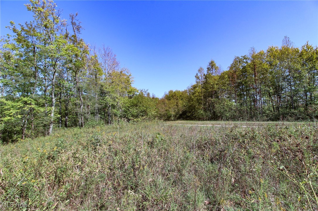 Lot 4 Moss Run Road Property Photo 5