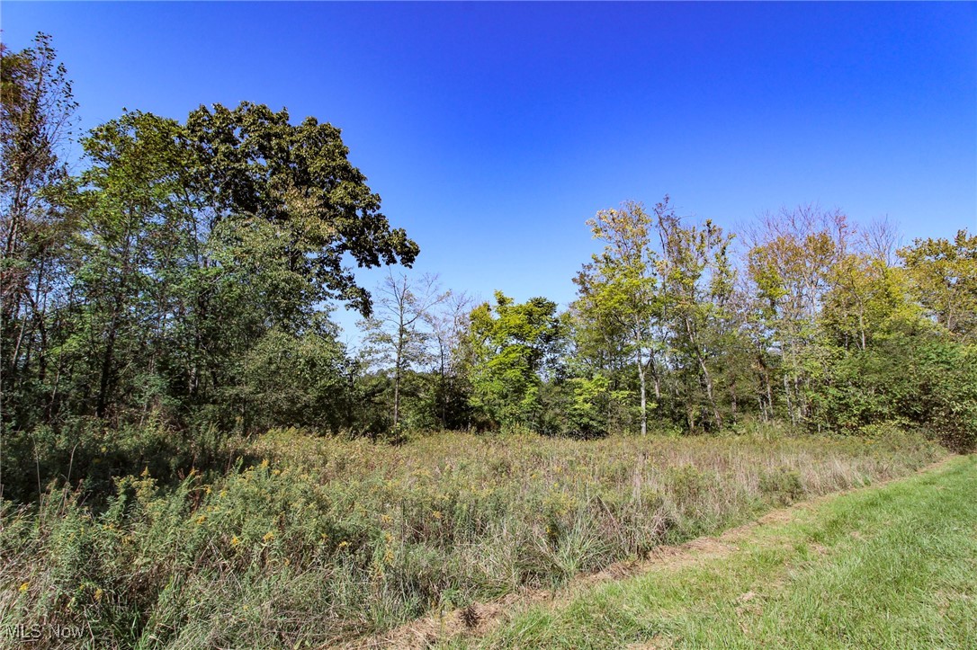 Lot 4 Moss Run Road Property Photo 7
