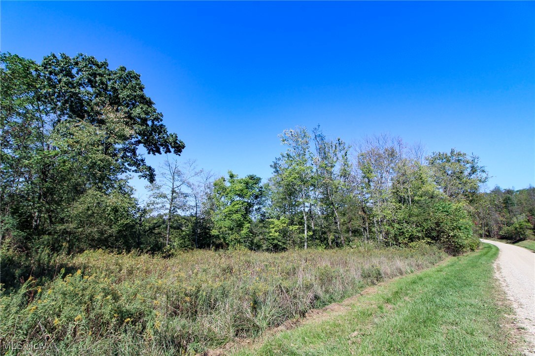 Lot 4 Moss Run Road Property Photo 8