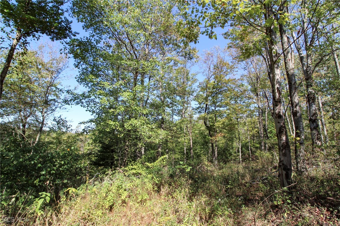 Lot 4 Moss Run Road Property Photo 9