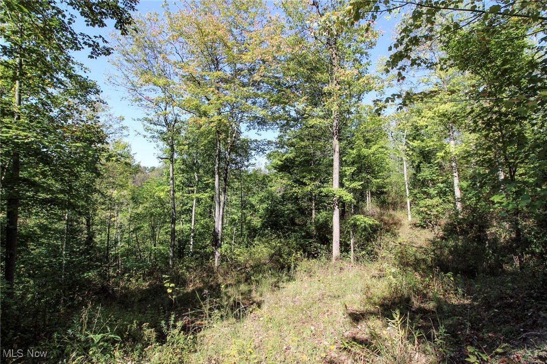Lot 4 Moss Run Road Property Photo 11