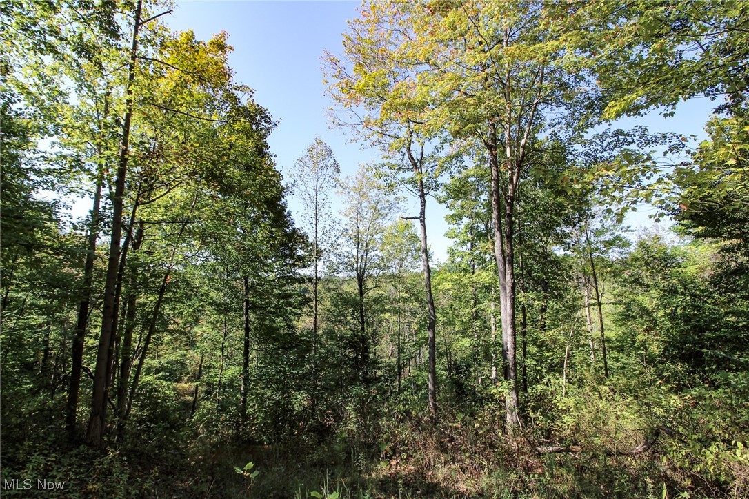 Lot 4 Moss Run Road Property Photo 12