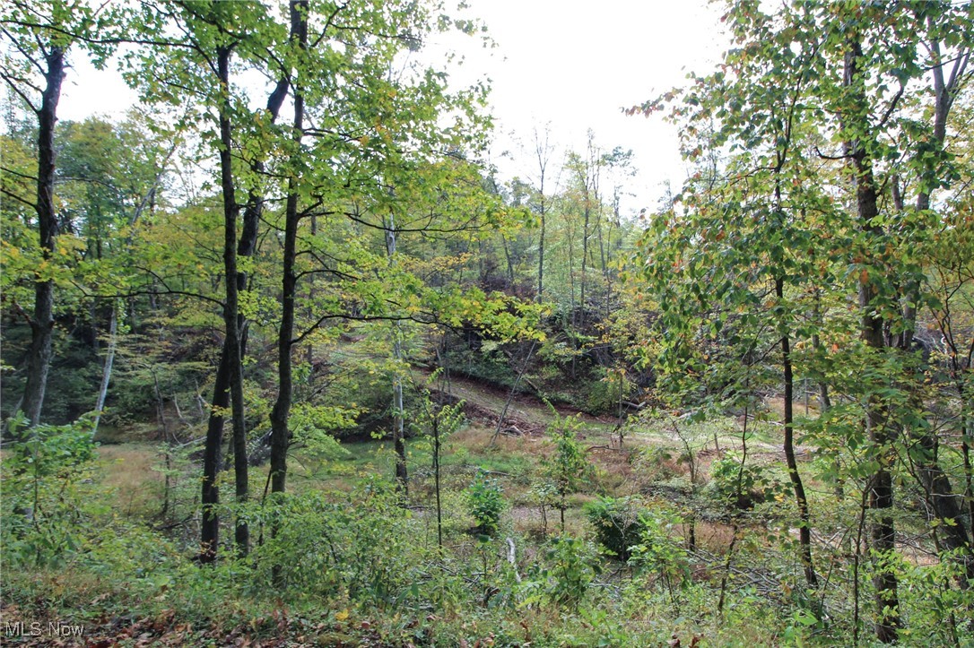Cow Run Road Property Photo 4
