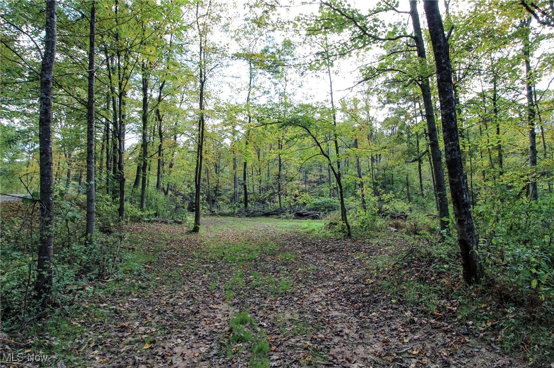 Cow Run Road Property Photo 5